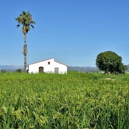 Apartment Delta Del Ebro Amposta